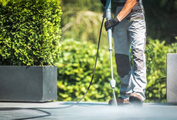 Best Roof Washing  in Lauderdale Lakes, FL