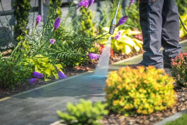 Best Patio and Deck Pressure Washing  in Lauderdale Lakes, FL