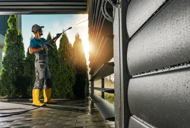 Best Driveway Pressure Washing  in Lauderdale Lakes, FL